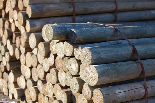 PINE TREATED POLE ROUND